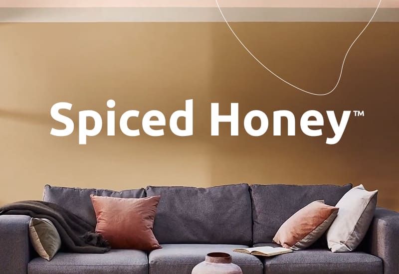 Een woonkamer geschilderd in Spiced Honey. De tekst, Spiced Honey staat hierin verwerkt.