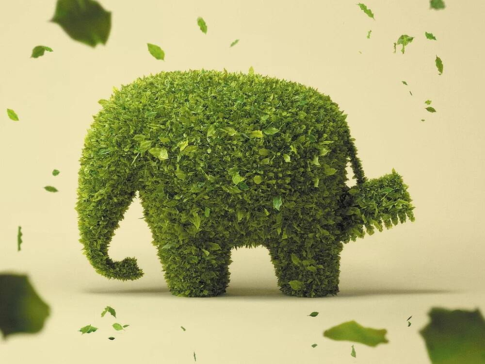 Caparol groene olifant met blaadjes: Dit laat zien hoe duurzaam de verf is.