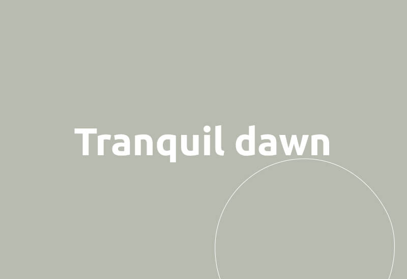 De verfkleur Tranquil Dawn van Flexa