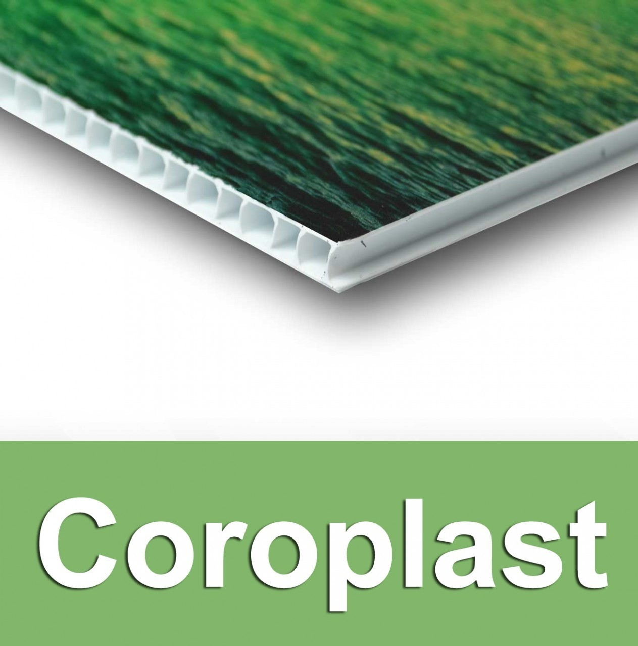 Coroplast