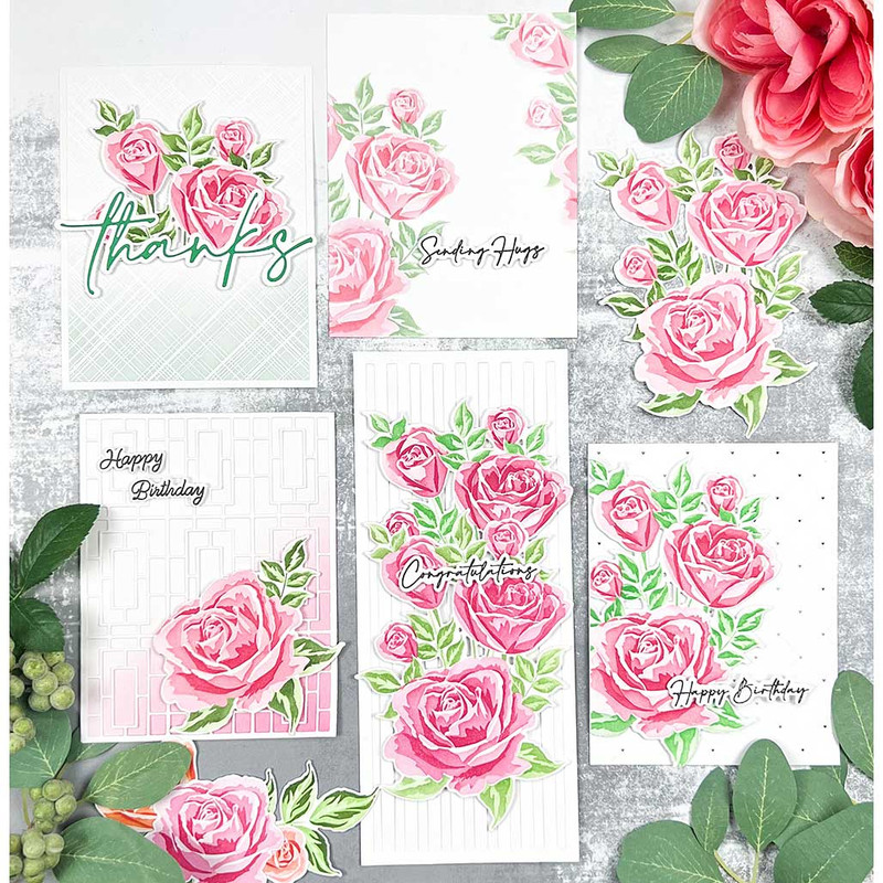 ROCKFORD IL - 5 Card Panels with 1 Rose Layering Stencil Set, Saturday March 9