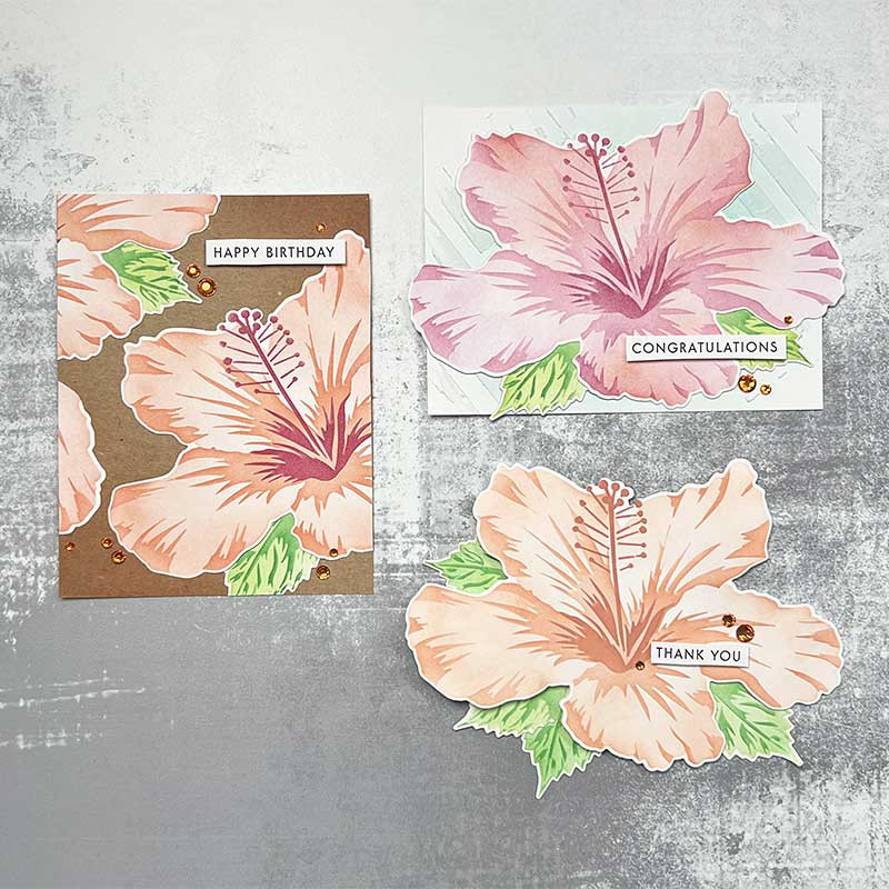 3 Card Panels with 1 Jumbo Hibiscus Stencil Set
