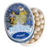 Les Anis De Flavigny Candy Tin - Mint