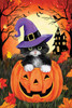 black and white kitten in witch hat popping out of jack‑o‑lantern with haunted house and bats on 6x4 wood block