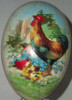 Rooster With Chicks