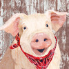 “Napkin featuring Charlotte the pig wearing a red bandanna, illustrated by Two Can Art.”