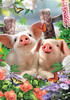 piglets porch flag with adorable barnyard piglets by howard robinson