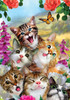 cat selfie porch flag with playful group of cats by howard robinson