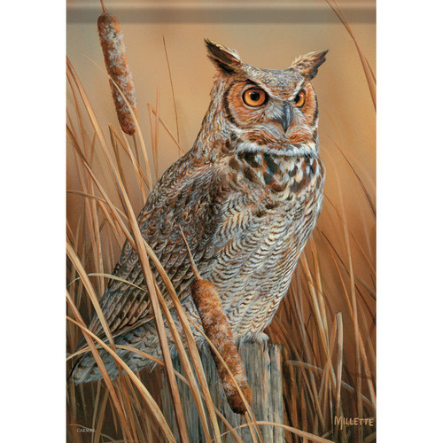 Great Horned Owl House Flag