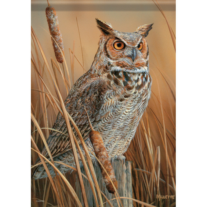 Great Horned Owl House Flag