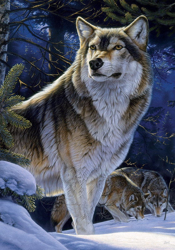 Winter Wolf House Flag 