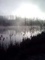 Waiting for a Friend