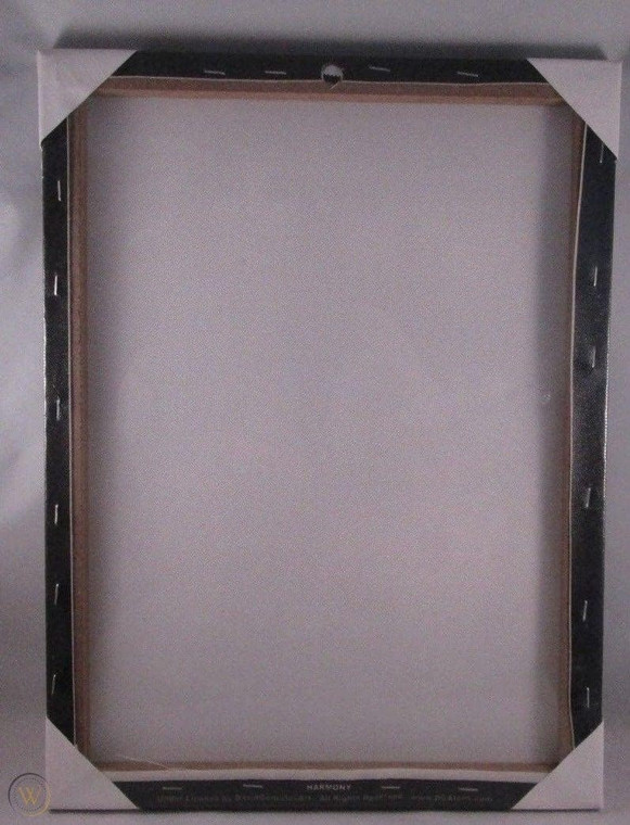 DGA Day of the Dead Dia de Los Muertos Canvas Wall Art 12x16 Inch Roses Catrina