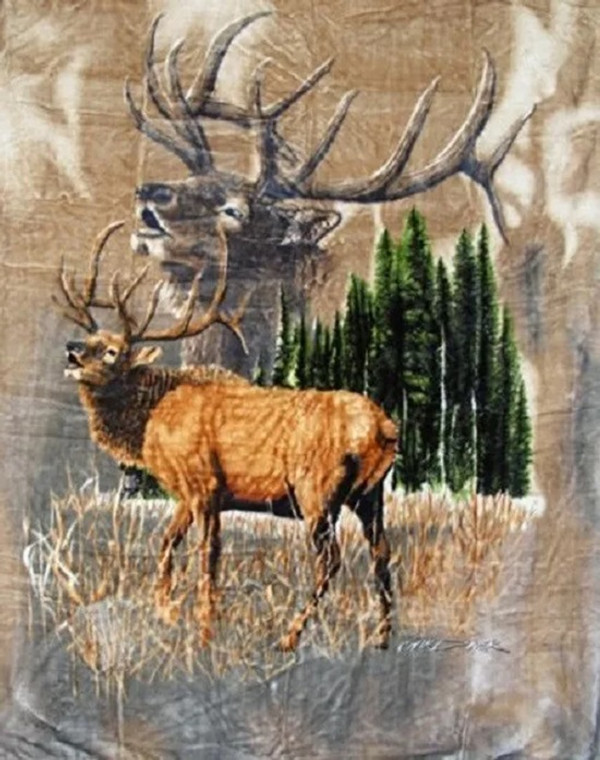 Alaska Wildlife Elk Calls Thick Soft Plush Queen Size Throw Blanket