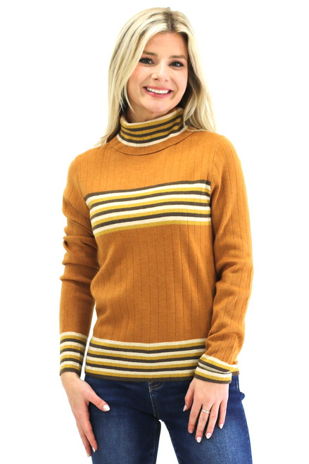 True Believer Striped Turtleneck Sweater