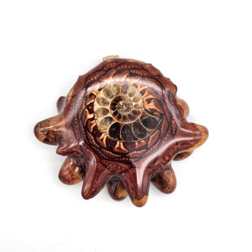Buy a Ammonite Pinecone Pendant Online from Tree Huggers Co-op