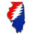 Buy a Illinois Deadhead Pin Online from Tree Huggers