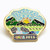 Wakarusa 2015 Pin