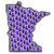 Buy a Minnesota Purple Rain Pin Online from Tree Huggers