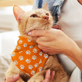 An orange pet bandana featuring white paw prints, worn by a cat held by a person.