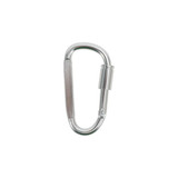 A silver D-shaped camping carabiner with a screw lock mechanism and a smooth finish.