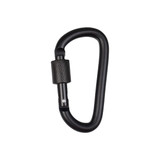 A black D-shaped screw lock keychain with a textured locking mechanism and a smooth curved body.