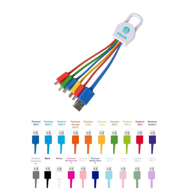 A multi-coloured 6-in-1 charging cable featuring five different connectors and a connector cap, with a logo.