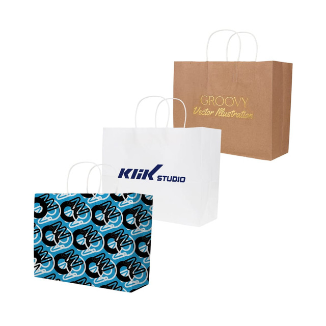 Three paper bags displayed: a brown kraft bag, a white bag with a logo, and a blue patterned bag.