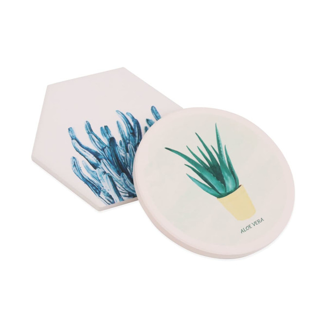 A hexagonal and round coaster featuring illustrations of aloe vera plants in green and blue shades. Both coasters have a logo.