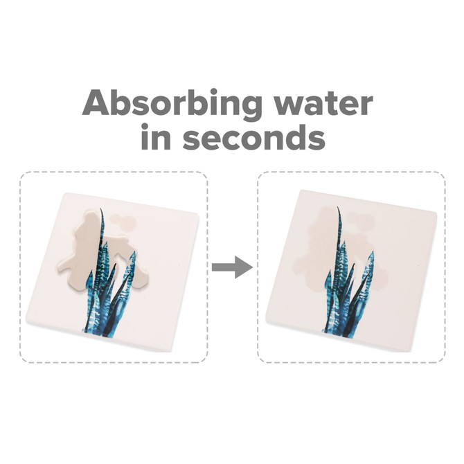 A square coaster with a plant design, featuring a water-absorbent surface. The background is light, with blue and green accents.