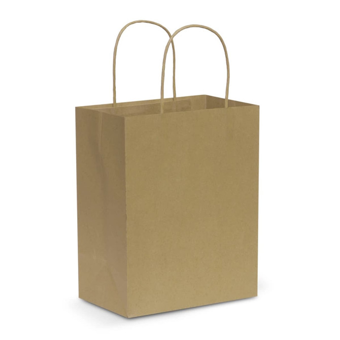 A medium brown paper carry bag with two handles and a plain design.