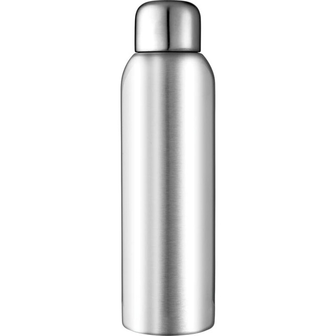 A drink bottle in a sleek silver finish with a rounded cap and a smooth, stainless steel surface.