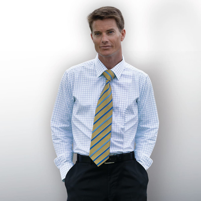 A button-up shirt featuring a blue and white check pattern, worn with a yellow striped tie.