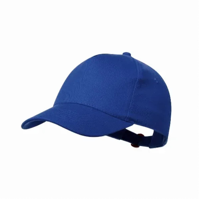 A blue cap with a curved brim and an adjustable strap at the back, featuring a logo.