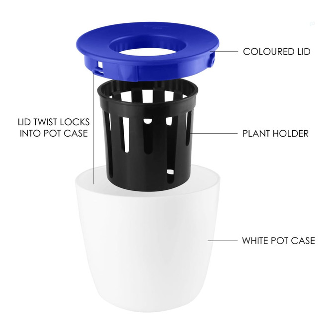 A white pot case with a black plant holder and a blue lid, designed for a mini desk plant pot.