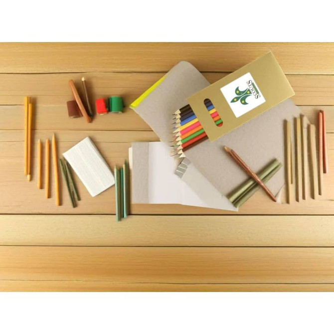 A collection of natural wood full-size coloured pencils in various colours, arranged with paper and accessories on a wooden surface.