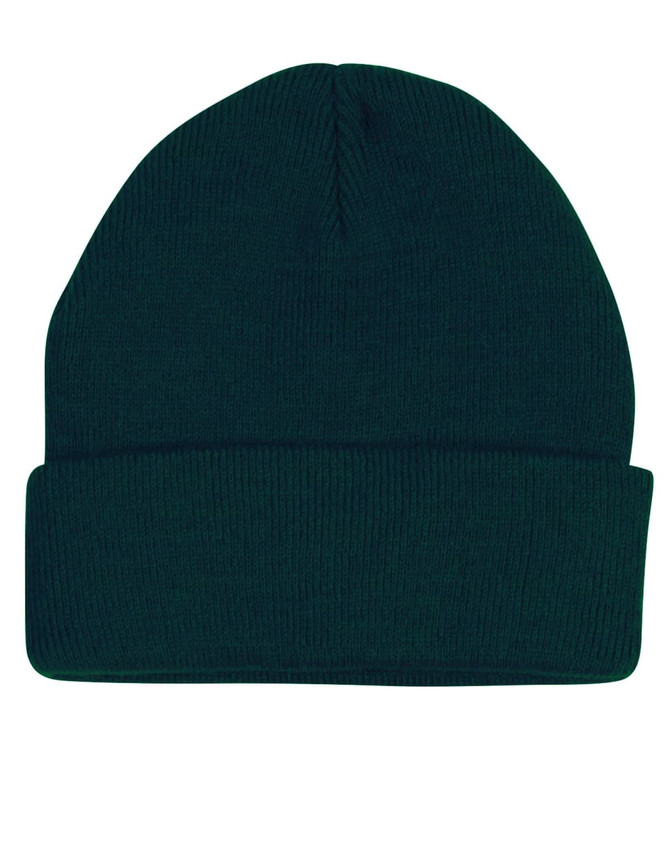 A green acrylic beanie with a rolled cuff and a seamless design. It features a logo on the side.