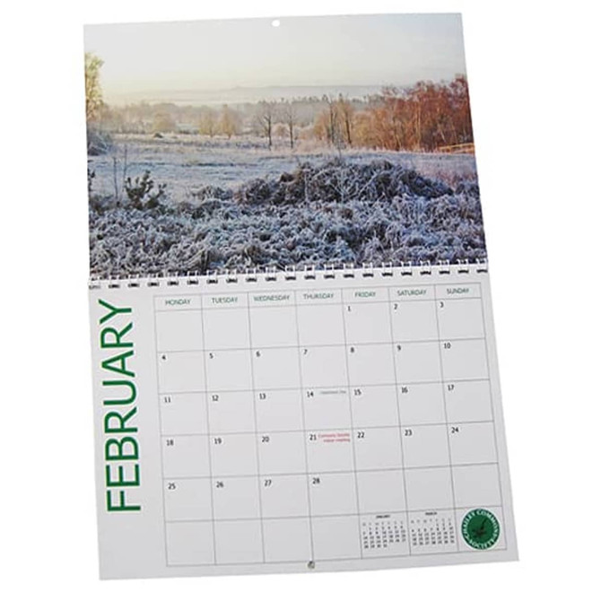 A4 wiro bound wall calendar featuring a frosty landscape for February, with a white and green colour scheme.