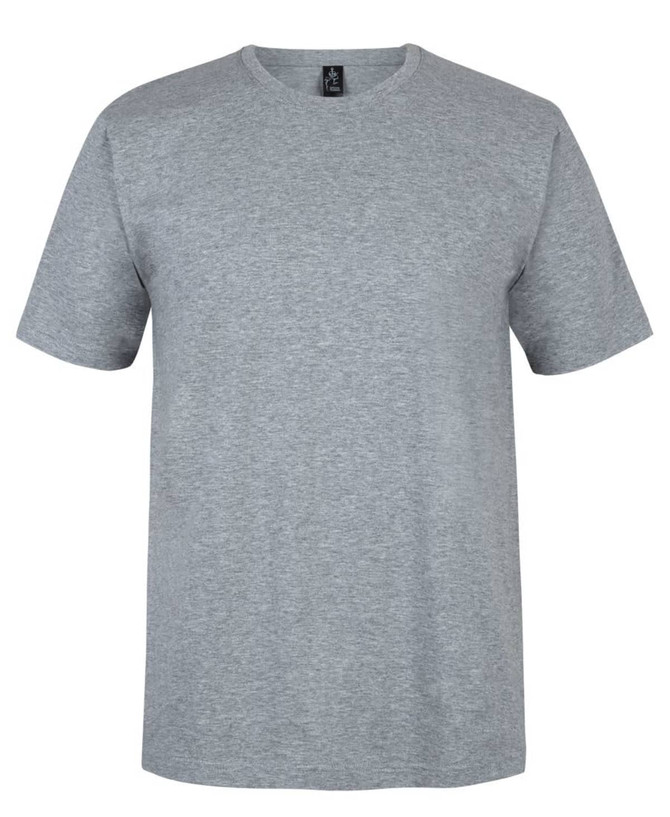 A grey T-shirt with a classic crew neck and short sleeves. It features a label and no visible logos.