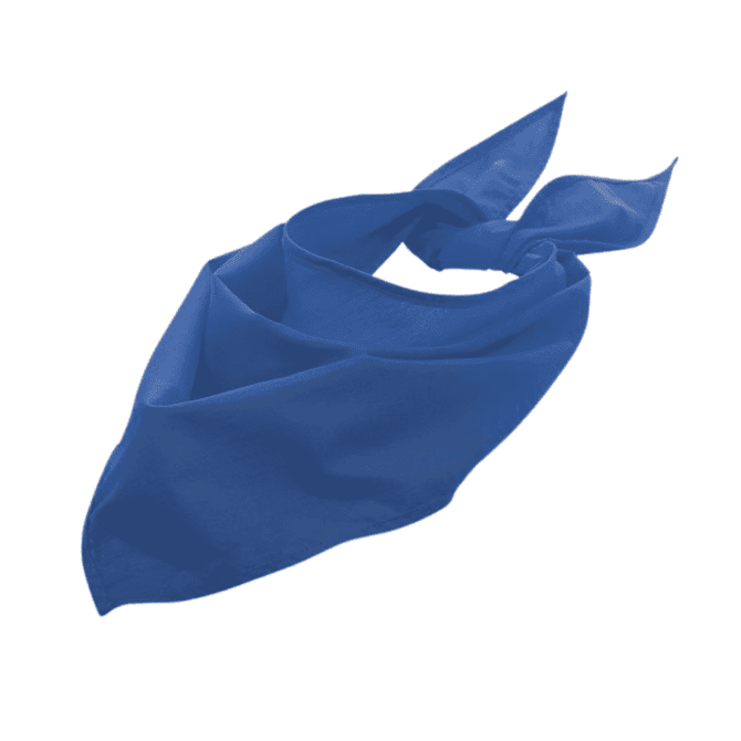 A triangular bandana in a vibrant blue colour, featuring a tied design and soft fabric. It has a logo.