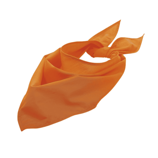 An orange triangular bandana with ties at the ends and a simple design. It has a logo.