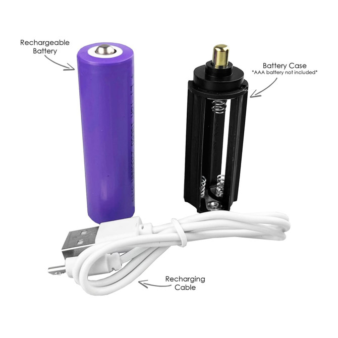 A purple rechargeable battery, a black battery case, and a white recharging cable. The image features product components.