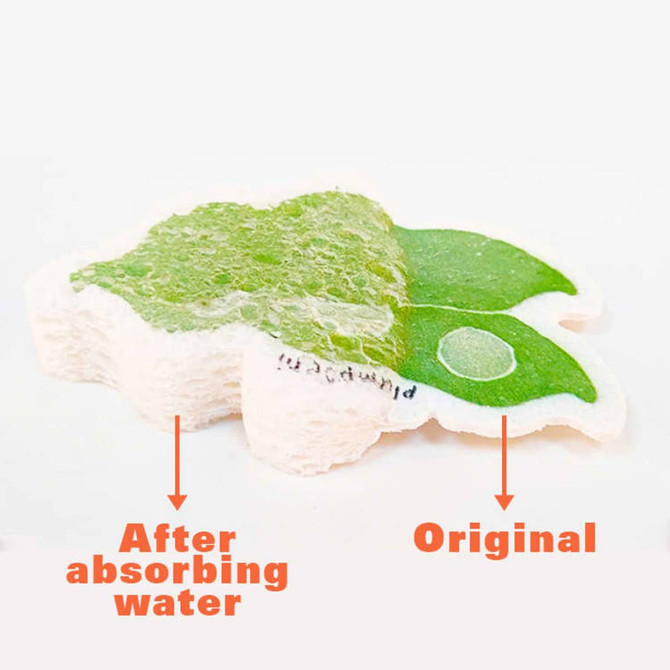 An expandable dishwashing sponge in green and white, showing two stages: original and after absorbing water.