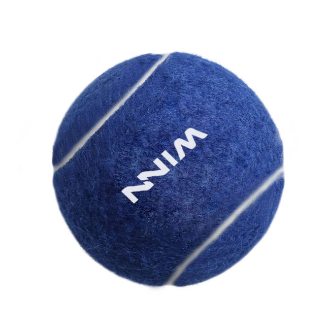 A blue pet tennis ball with white stripes and a logo. Soft texture suitable for play.