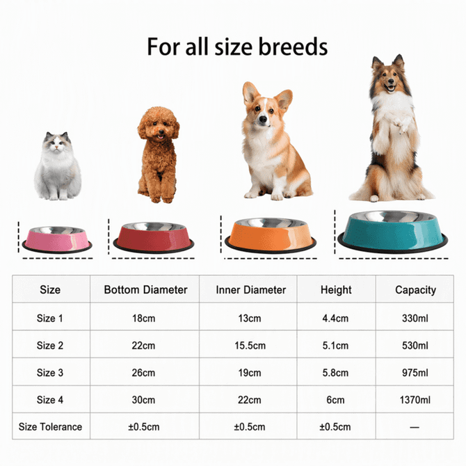 A pet feeding bowl display featuring various sizes and colours, with bowls made of stainless steel and plastic.
