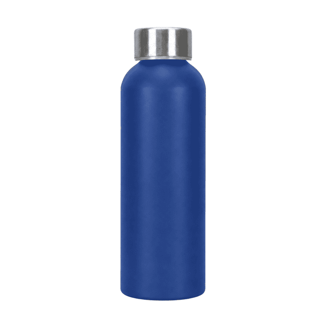 A drink bottle in a vibrant blue colour with a silver screw-top lid and a smooth finish. It features a logo.