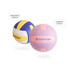 A volleyball in standard blue, yellow, and white colours alongside a custom purple and pink volleyball, both featuring a logo.