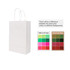 A white kraft paper bag with twisted handles, accompanied by colour samples of print options on different backgrounds.