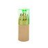 A set of recycled coloured pencils in a transparent green case with a cardboard base.