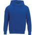 A blue fleece hoodie for men featuring a front pocket and an adjustable hood. It has a logo on it.